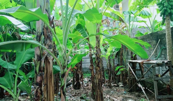 Tanah Dijual di Trengguli