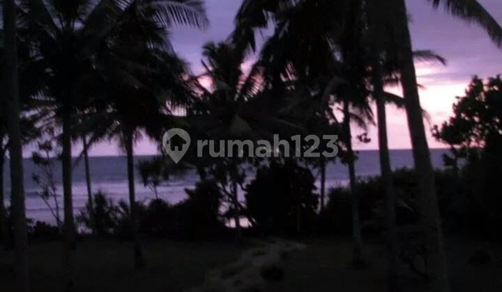 Jual Tanah DI Jembrana Bali Barat SHM 5600m2 (026)
