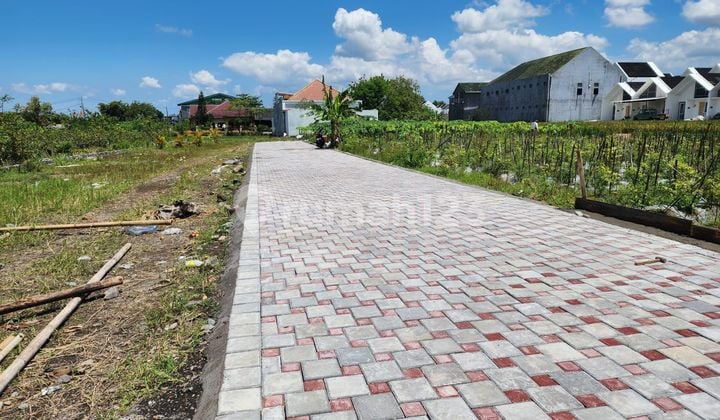 Kavling Kos Dekat Kampus Ugm Harga 4Jutaan
