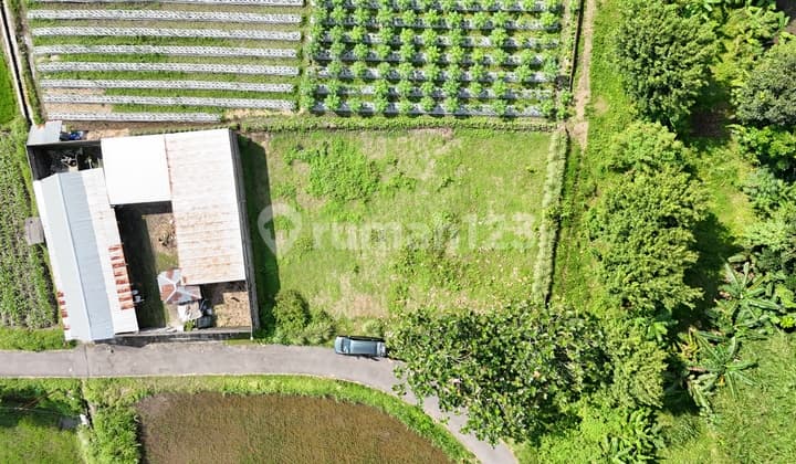 Ready-to-Build Land in Palagan Sleman Only 3 Million Near Hyatt Hotel