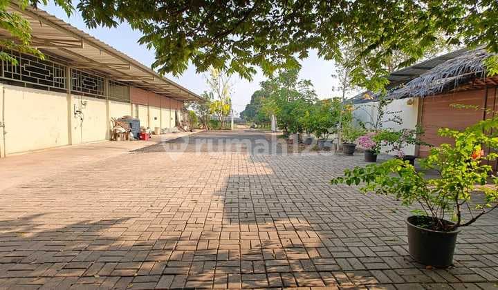 Warehouse for Rent in Teluk Naga, Tangerang Land Area 2560 sqm, Building Area 800 sqm, Ready to Use
