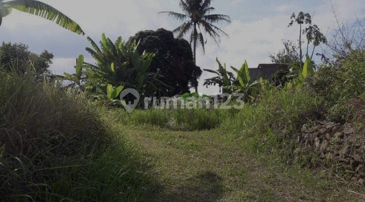 Dijual Tanah di Salatiga Jawa Tengah