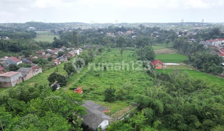 Tanah Kebun Di Mijen Semarang