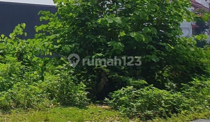 Tanah Di Rinjani Gajahmungkur Semarang