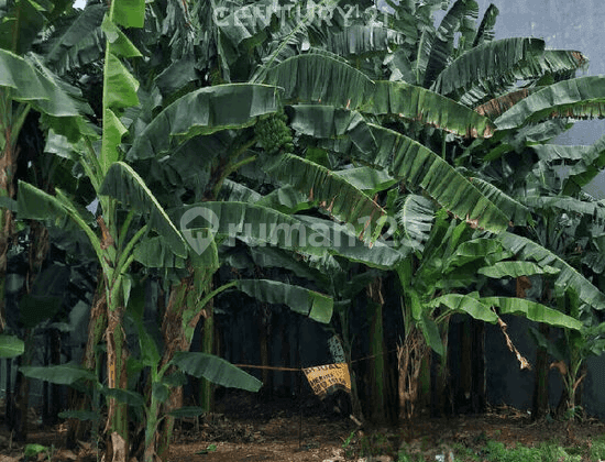 Tanah Kavling Cocok untuk Hunian Dekat Fasum di Cengkareng S9363