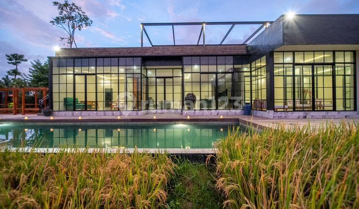 Villa in Batu Kaler Bali with a very comfortable view of rice fields, Mrs