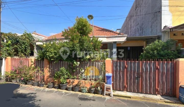 Rumah Pekunden Tengah Kota Semarang Untuk Tempat Tinggal Dan Kos