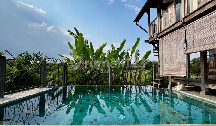 Fully Furnished Villa with Rice Field View Swimming Pool in Tamantirto Kasihan Bantul Near UMY and City Center Land Area: