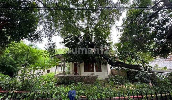 Jp701 Rumah Tua Hitung Tanah Di Menteng Dijual Murah