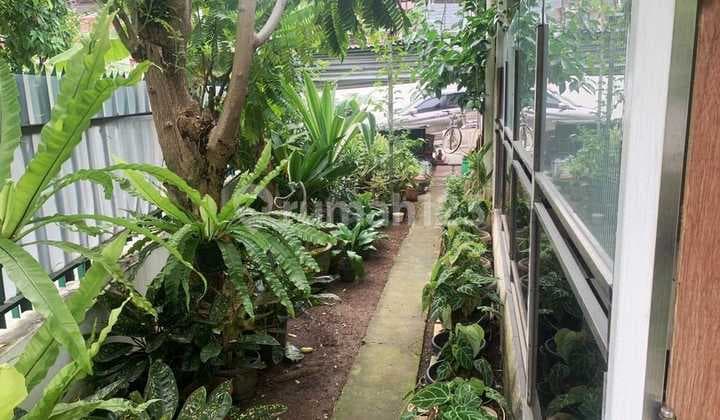 Jp298 Rumah Asri Dengan Halaman Yang Luas Di Cempaka Dijual