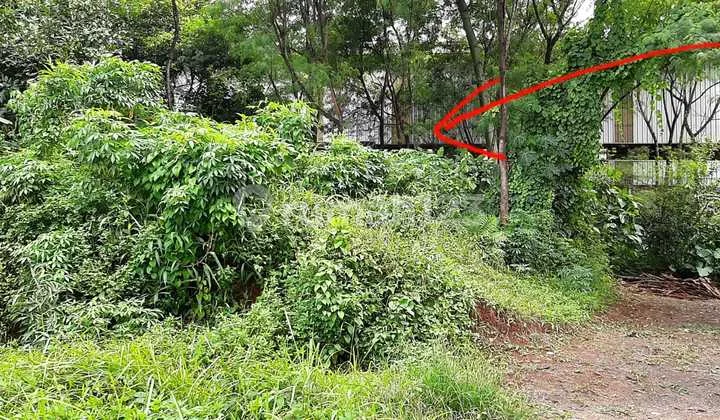 Dijual Dan Disewakan Sebidang Tanah Cocok Untuk Gudang, Workshop di Klapanunggal Dijual Dan Disewakan Sebidang Tanah Cocok Untuk Gudang, Workshop di Klapanunggal