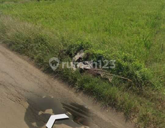 Dijual BU Sawah produktif 3 x panen