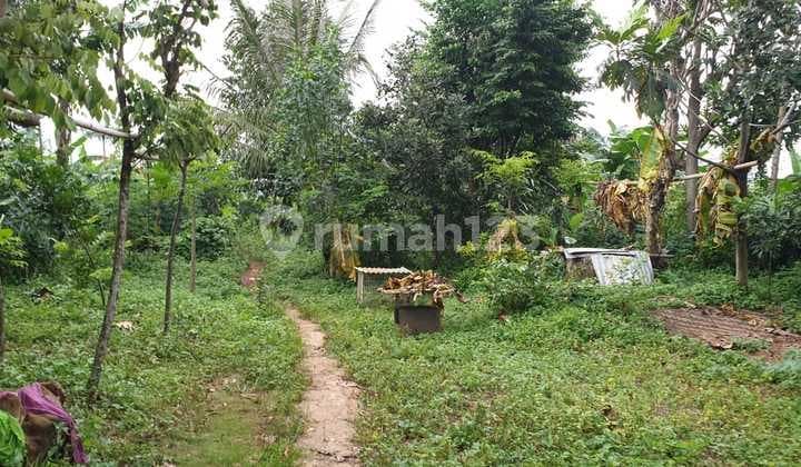 Dijual cepat tanah luas strategis di Cibinong bagus untuk investasi