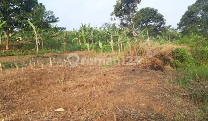 Dijual Cepat Tanah Luas Datar di Leuwiliang Bogor