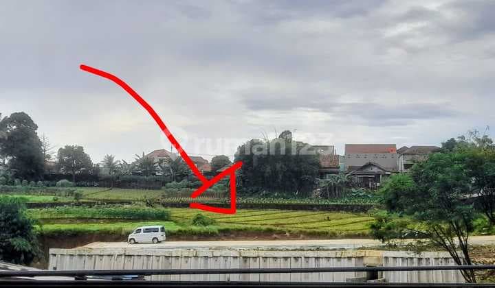 Dijual Cepat Tanah Bagus Strategis Dekat Pintu Tol Borr Kayu Manis Bogor