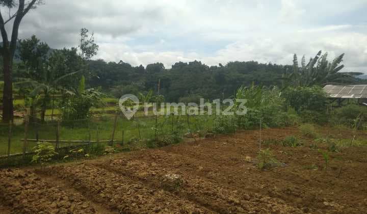 Dijual Tanah Luas di Pamijahan Bogor