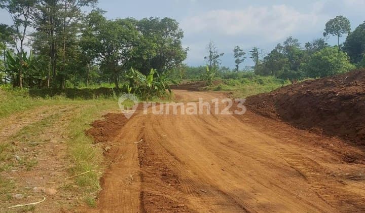 Tanah Uruk Daerah Gunting Sukorejo Pasuruan