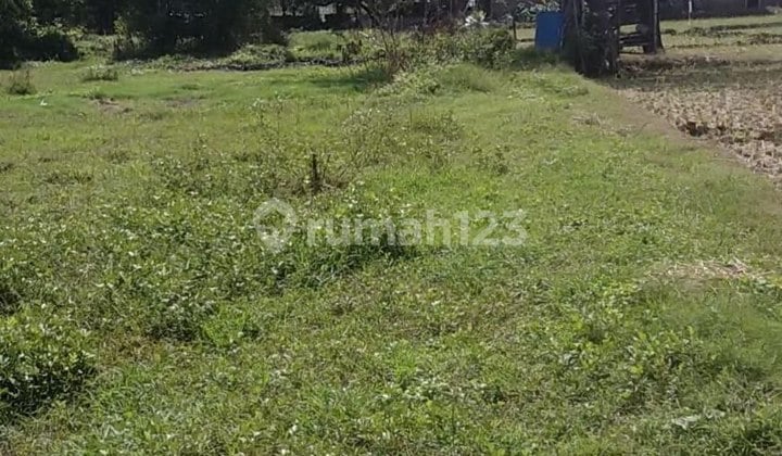 Dijual Tanah Lokasi Jalan Raya Rembang Pasuruan