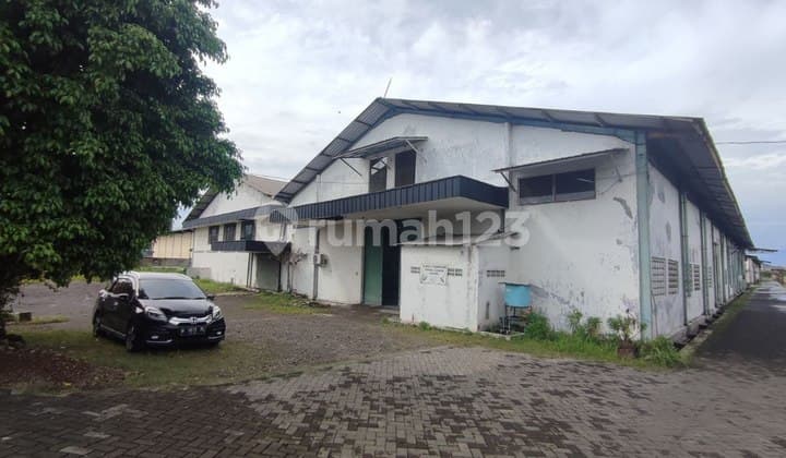 Gudang Tambak Sawah Sidoarjo Dekat Akses Tol Rungkut