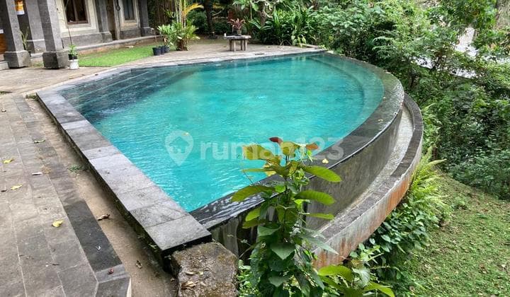 Dijual Cepat Villa Murah Hitung Tanah Villa Amanda Ubud - Bali
