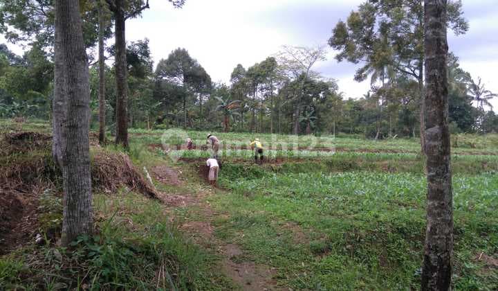 Wts | Jual Cepat Kavling Nempel Rancamaya, Samping Tol Harga Dibawah NJOP