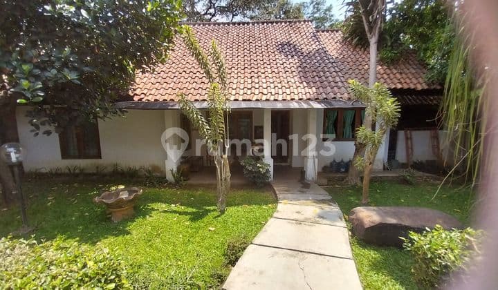 Jual Cepat Rumah Luas 400m Di Intan Pakuan Bogor