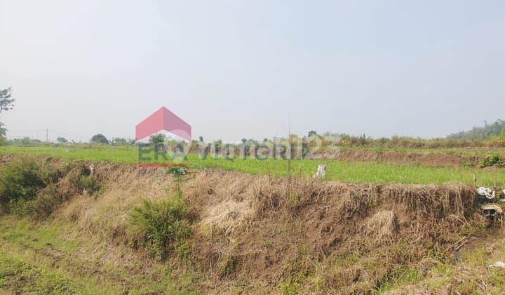 Tanah Strategis di Kota Dekat PG Kebonagung, Jl. Pakis & S. Supriadi