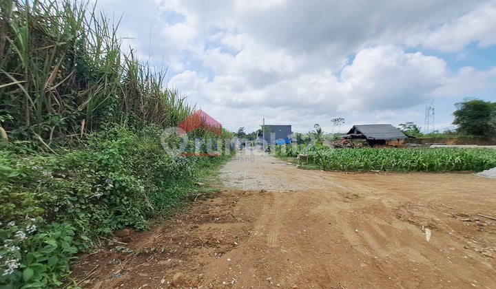 Tanah Strategis Dekat Pesantren & Taman Edukasi Tajinan Cocok Rumah, Kantor, atau Kebun