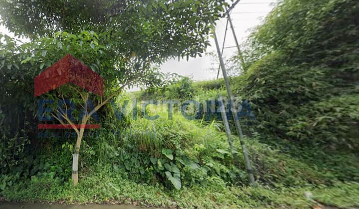 Tanah Luas di Jalur Malang-Bromo, 1,5 Km dari Pasar Tumpang & RS Sentosa