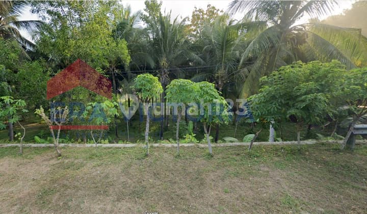 Tanah Lokasi Pacitan Pinggir Jalan Utama Row Jalan Lebar