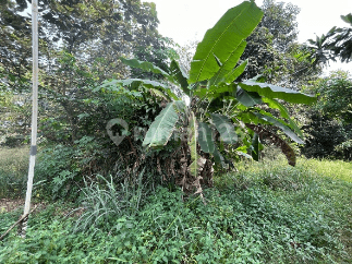 Dijual Tanah Strategis di Tajur Halang Kab. Bogor