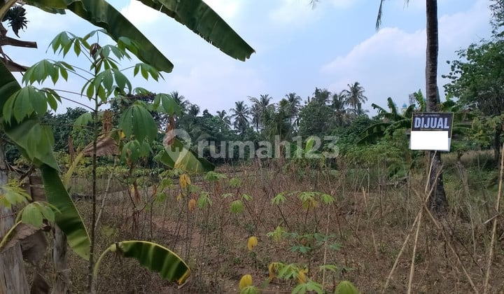 Tanah Waringinkurung Dekat Perumahan Gading Park