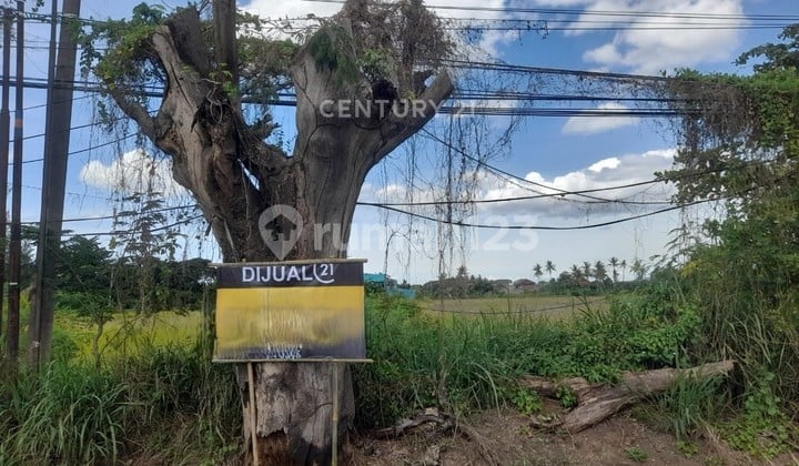 Tanah 1 Hektar Lebih Exit Tol Cilegon Timur