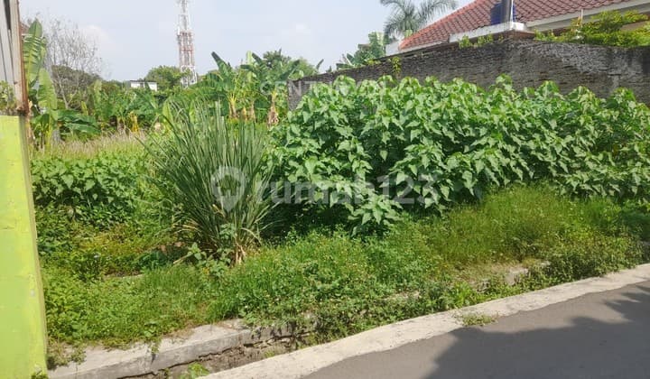 Tanah Jalan Perintis Jombang Nego Sampai Deal