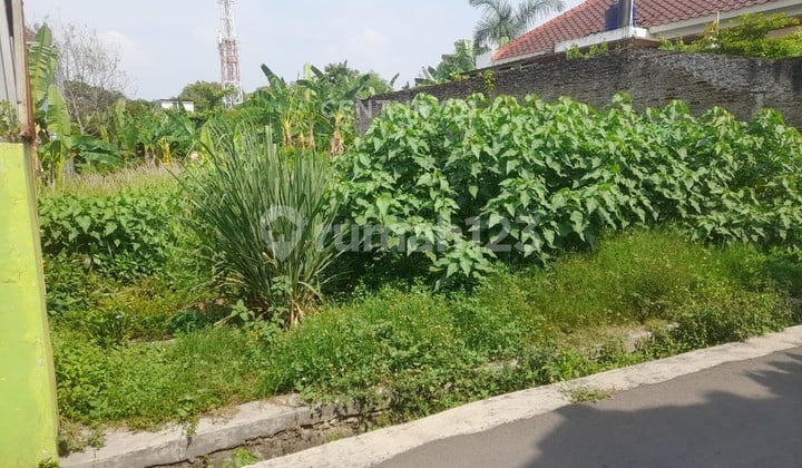 Tanah Jalan Perintis Jombang Nego Sampai Deal