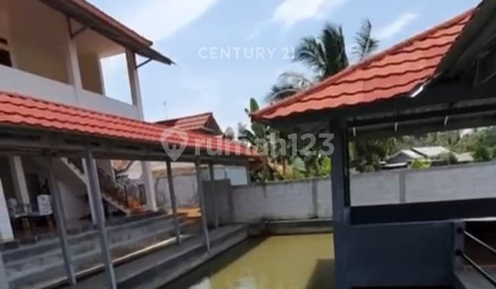 Villa Cantik Plus Kolam Renang Pandeglang