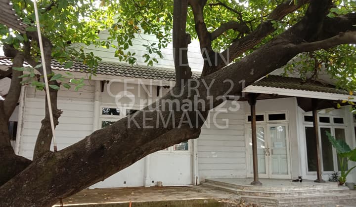 Rumah Bagus di Sewakan, Kemang Jakarta Selatan