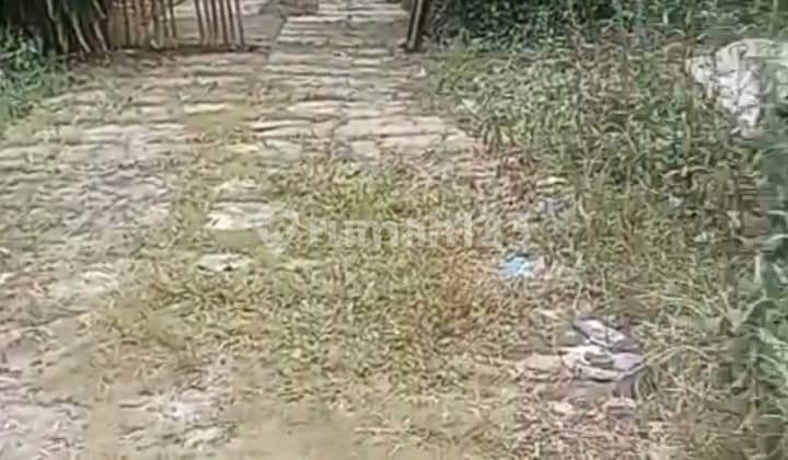 Dijual Tanah Premium di Pinggir Jalan Utama Parung Bogor, Cocok Buat Pabrik, Perumahan, Rumah Sakit Dll.