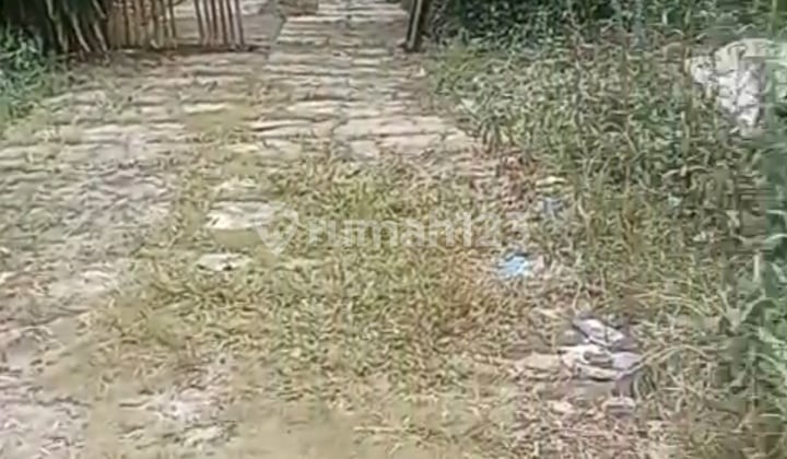 Dijual Tanah Premium di Pinggir Jalan Utama Parung Bogor, Cocok Buat Pabrik, Perumahan, Rumah Sakit Dll.