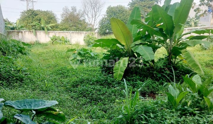 Dijual Lahan Premim di Mampang Depok, Lokasi Strategis Bebas Banjir