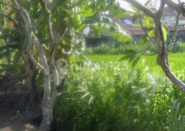 en: h-128 Land for Sale 10.25 Are, Kesiman Kertalangu, East Denpasar, Bali