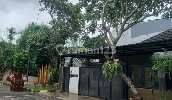Patal Senayan, Rare Unit Harga Under Market Lokasi Sangat Strategis Cocok Untuk Bisnis, Jakarta Selatan