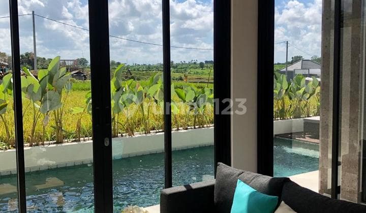 CANGGU, VILLA FULL FURNISH READY HUNI, BALI