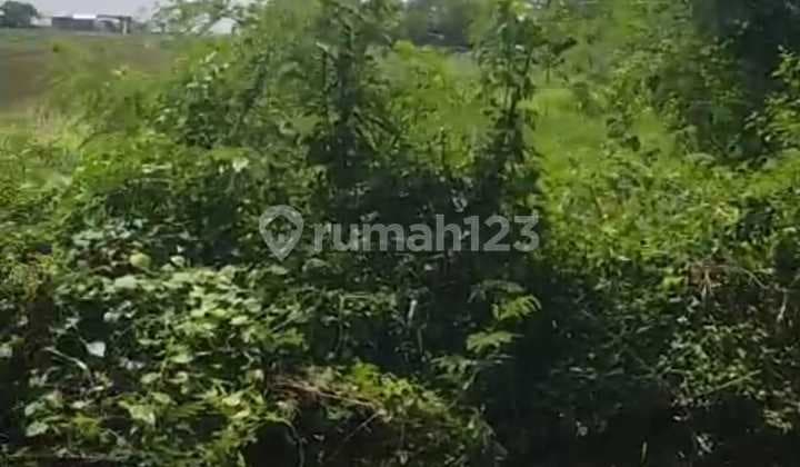 Tanah Jual Lokasi Tulikup
