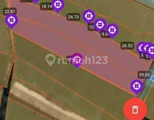 Tanah Jual Lokasi Munggu