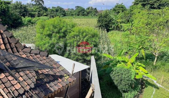 Tanah Jual Lokasi Padang Galak