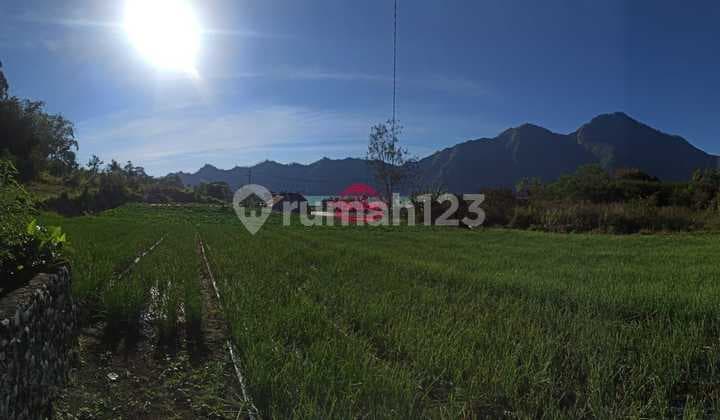 Tanah Jual Lokasi Toyabungkah