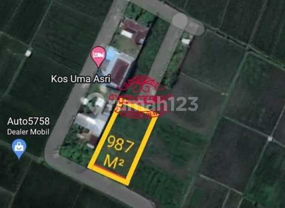 Land for Sale in Renon Location