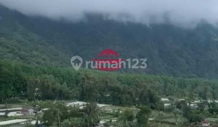 Tanah Jual Lokasi Pancasari