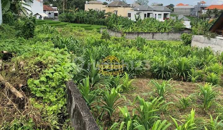 Tanah Jual Lokasi Tumbak Bayuh